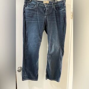 Plus Size Silver Jeans